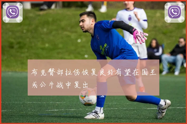布克臀部拉伤恢复良好有望在国王或公牛战中复出