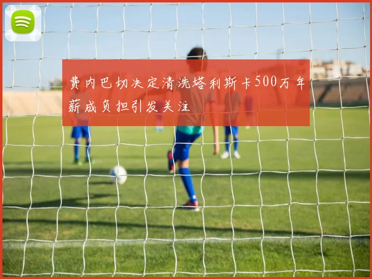 费内巴切决定清洗塔利斯卡500万年薪成负担引发关注