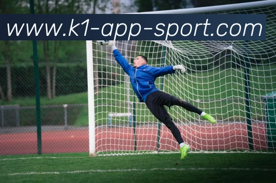 k1体育APP 封面图